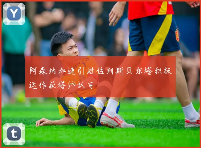 阿森纳加速引进佐利斯贝尔塔积极运作获塔帅认可